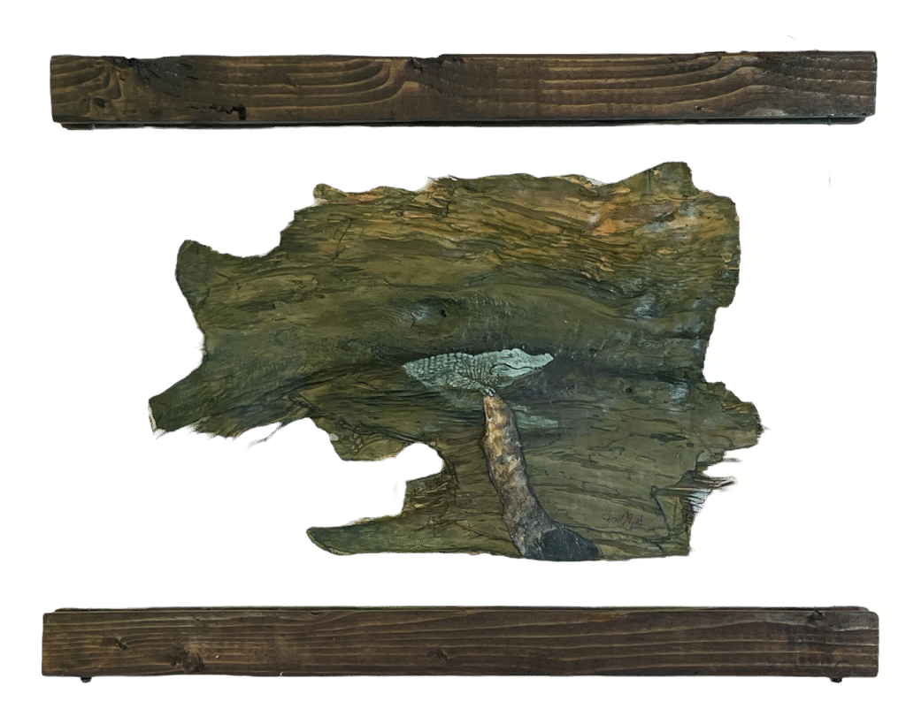 Nature-inspired acrylic painting of an alligator clutching a log, created on melaleuca tree bark. Presented in a handcrafted floating frame, this award-winning artwork has been featured in two online juried art competitions. A striking example of sustainable mixed-media art from Colorado.