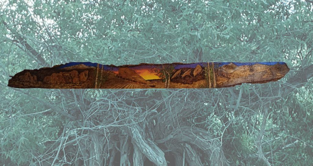 Colorado’s Front Range etched in bark and bound by green twine—memory and mountain framed by ghosted trees