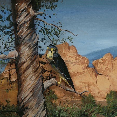 Close-up of hawk and tree painted on the glass.