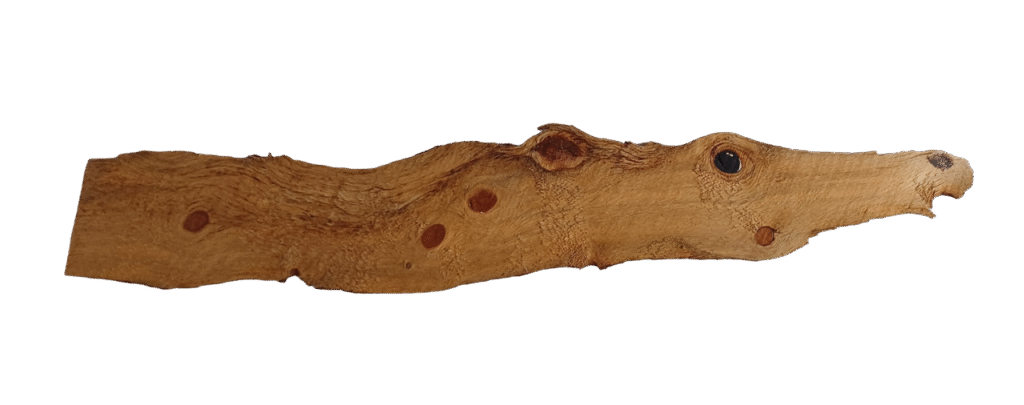 Curved wood fragment with bark preserved along its spine, bearing the scorched image of a horse named Yella-Belly— eyes wide with panic, caught mid-spook and hollering his way out of danger.