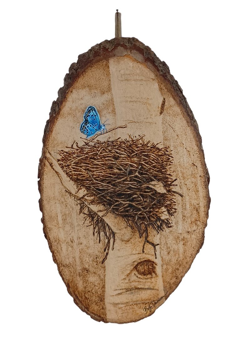 A delicate Colorado hairstreak butterfly hovers near a birds nest cradled in the curves of an aspen tree—nature’s resilience etched in flame and brushed in oil.