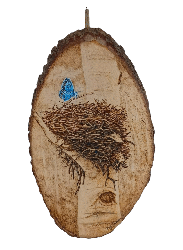 A delicate Colorado hairstreak butterfly sits on a birds nest cradled in the curves of an aspen tree—nature’s resilience etched in flame and brushed in oil.